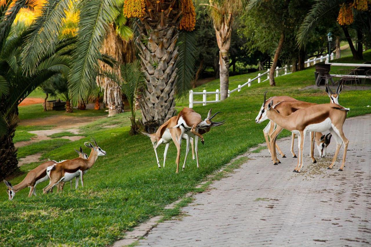 Ikaia River Lodge Keimoes Luaran gambar